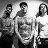 Fever 333