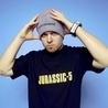 DJ Shadow