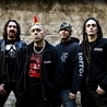 The Exploited